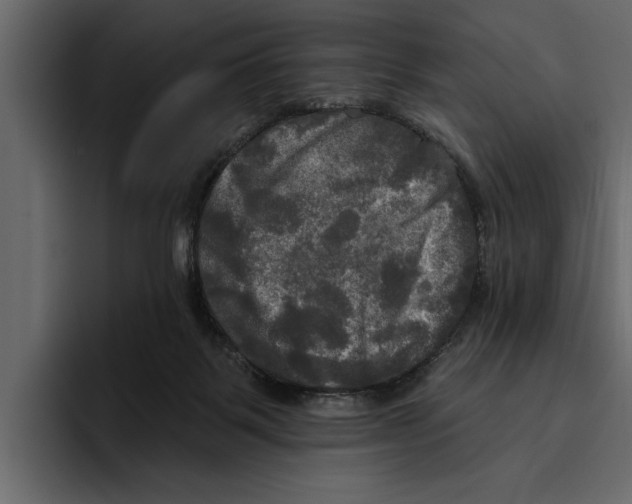 X0000094790123200712141646