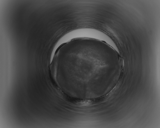 X0000094790124200712141646