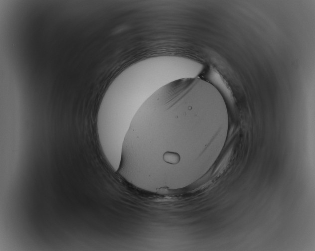 X0000094790125200712141646