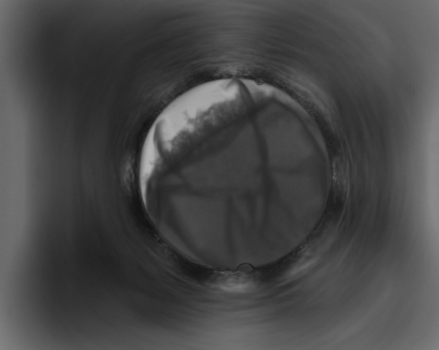 X0000094790127200712141646