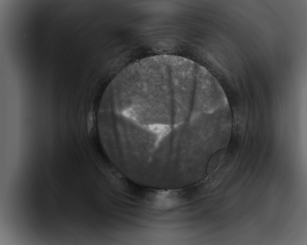 X0000094790130200712141646