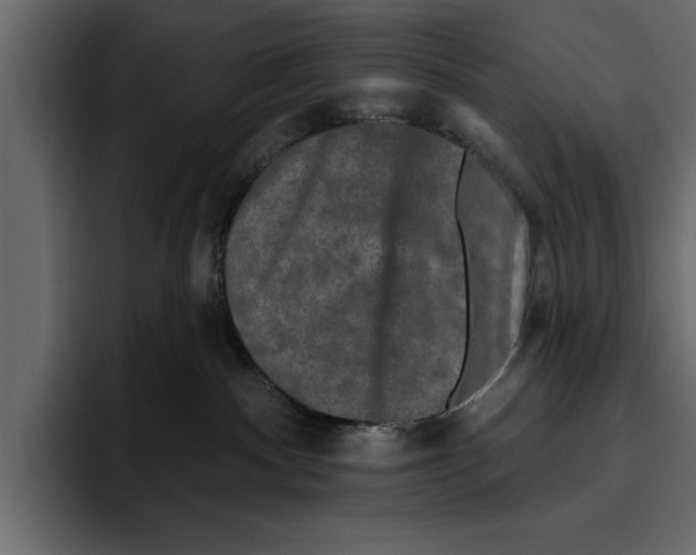 X0000094790140200712141645