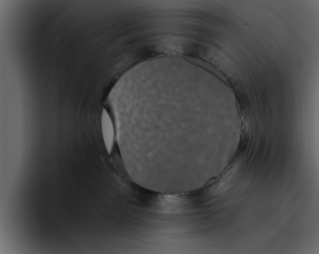 X0000094790141200712141645