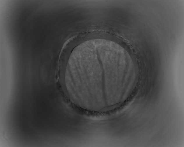 X0000094790144200712141645