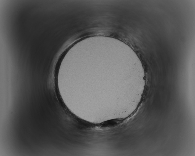 X0000094790150200712141645