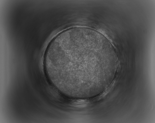 X0000094790151200712141645