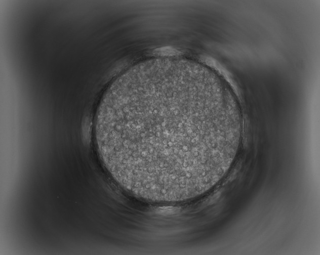 X0000094790153200712141645