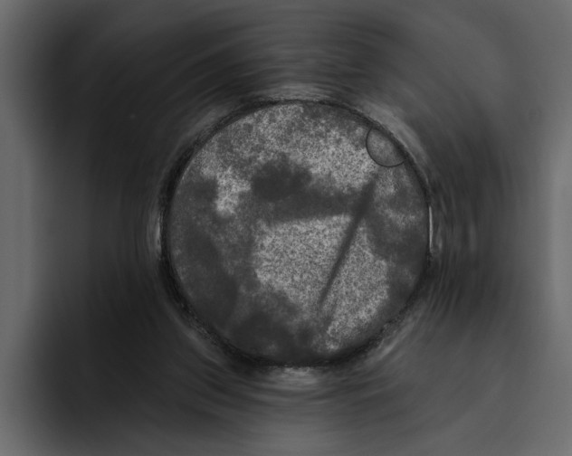 X0000094790157200712141645