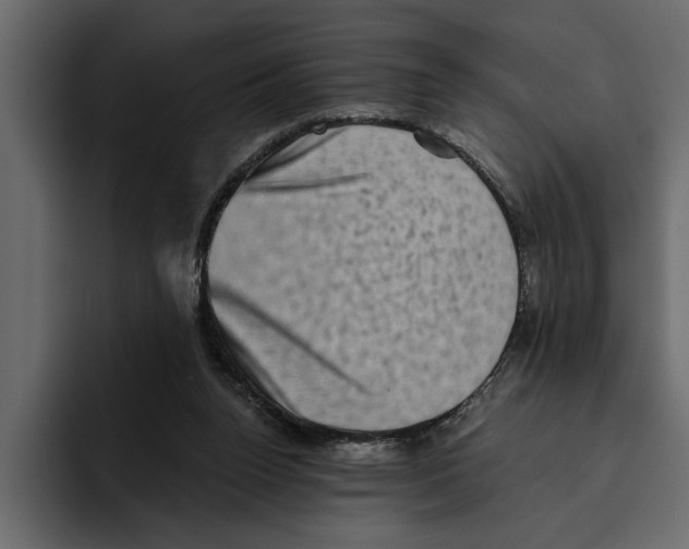 X0000094790160200712141645