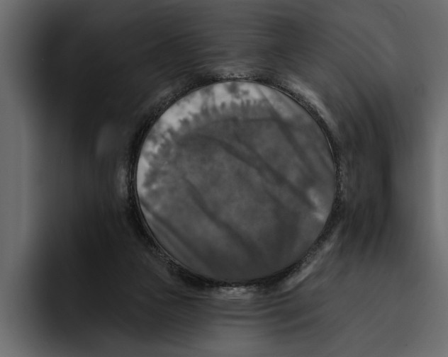 X0000094790161200712141645