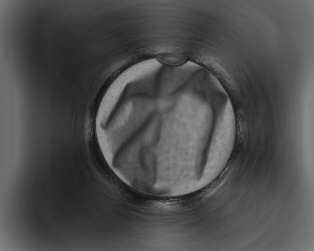 X0000094790164200712141645