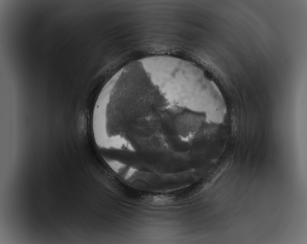 X0000094790165200712141645