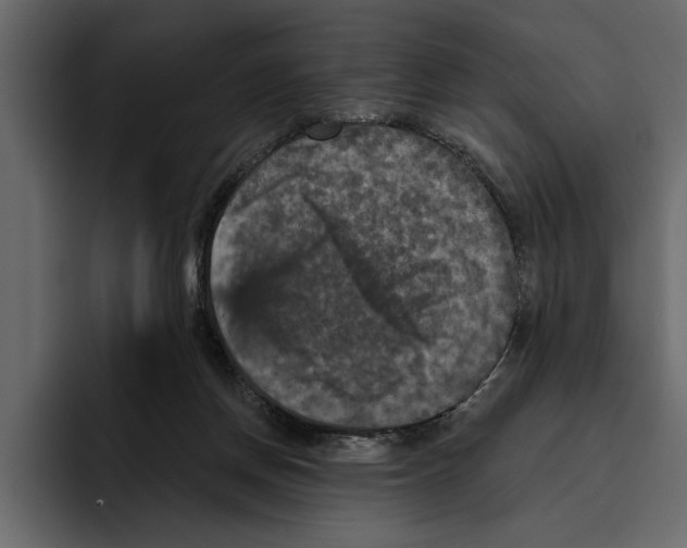 X0000094790166200712141645