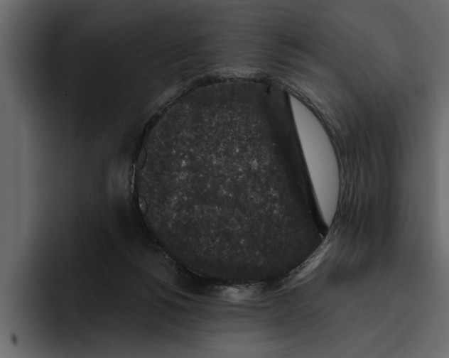 X0000094790168200712141645