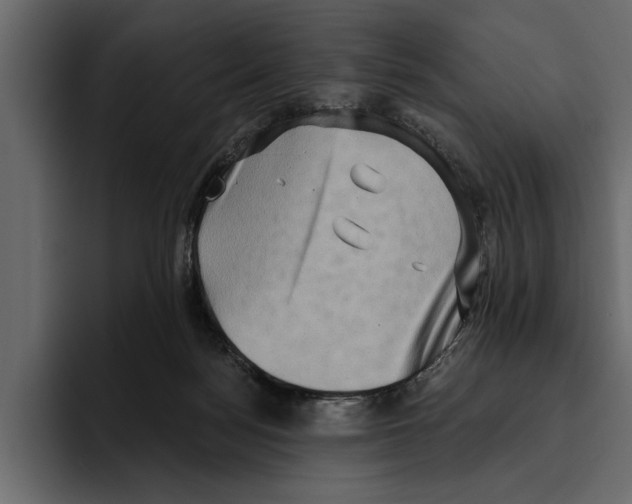 X0000094790172200712141645