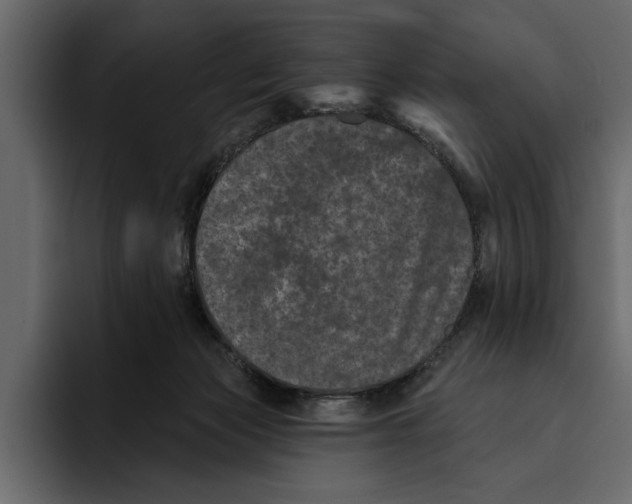 X0000094790173200712141645