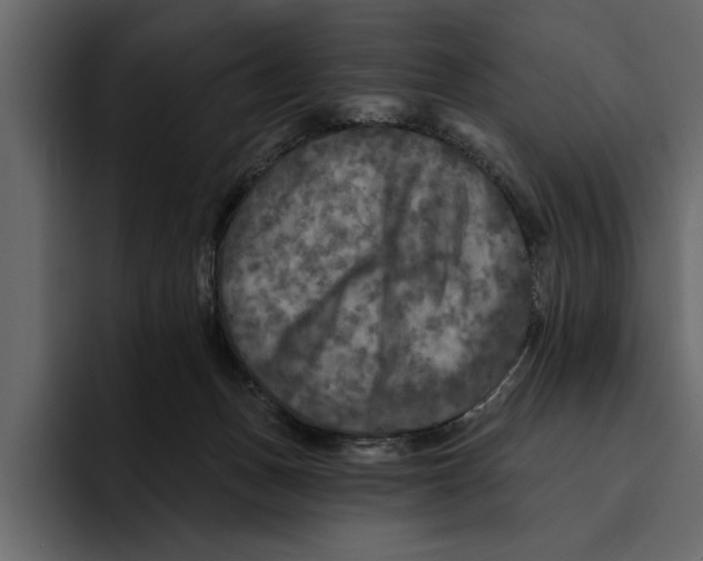 X0000094790175200712141645