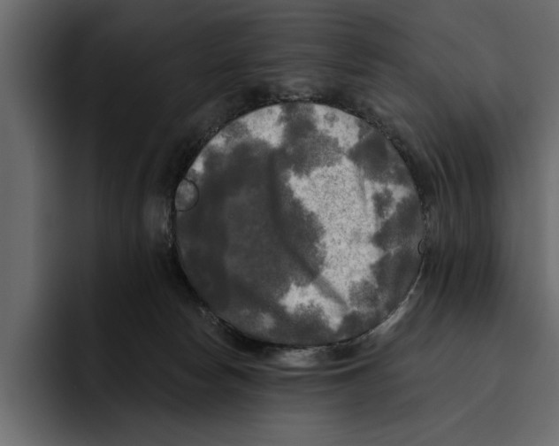 X0000094790178200712141645