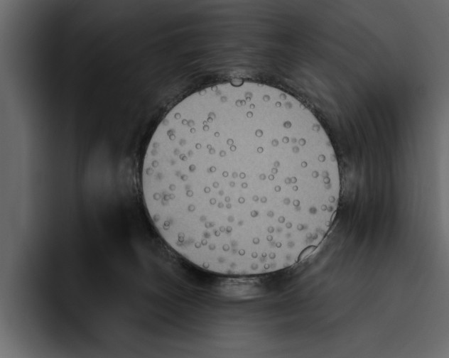 X0000094790179200712141645