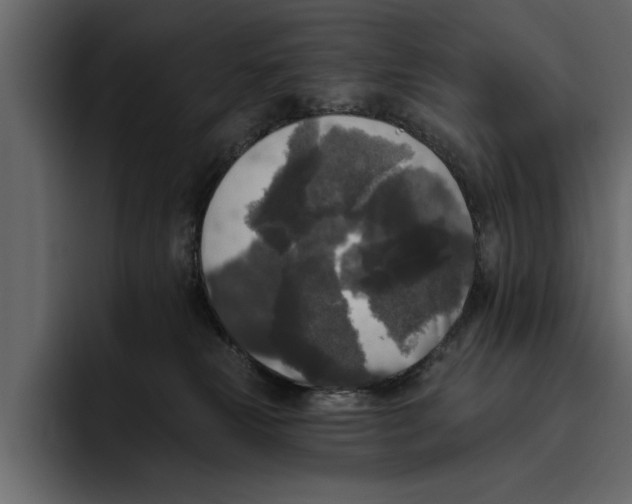 X0000094790181200712141645