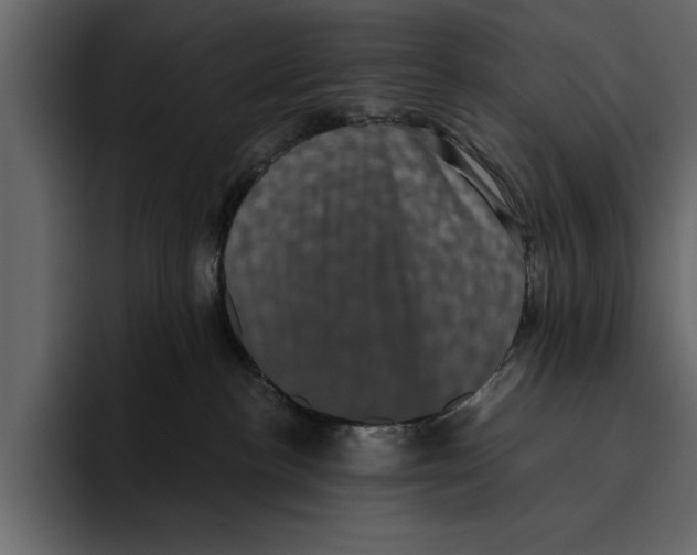 X0000094790188200712141645