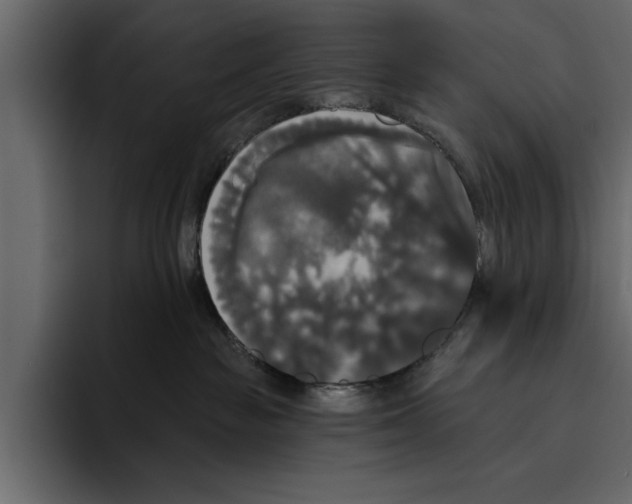 X0000094790189200712141645