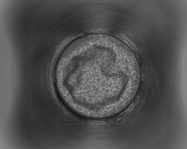 X0000094790193200712141644