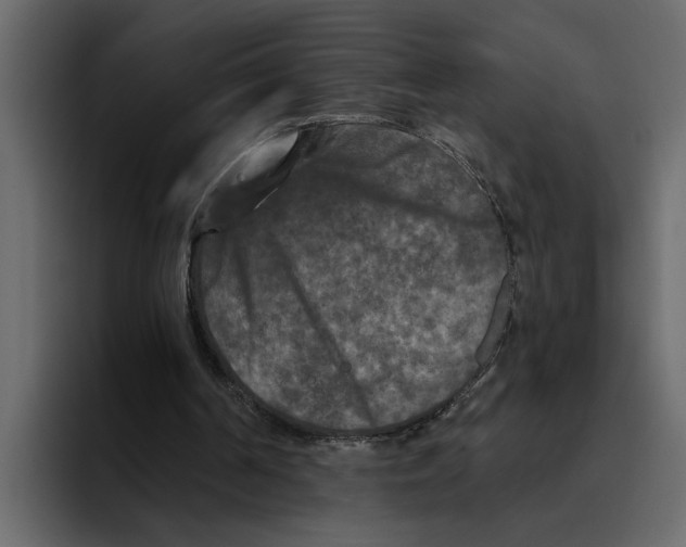 X0000094790194200712141644