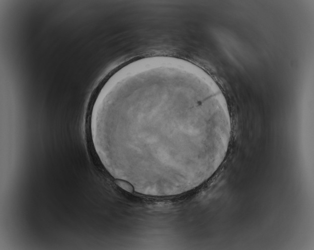 X0000094790196200712141644