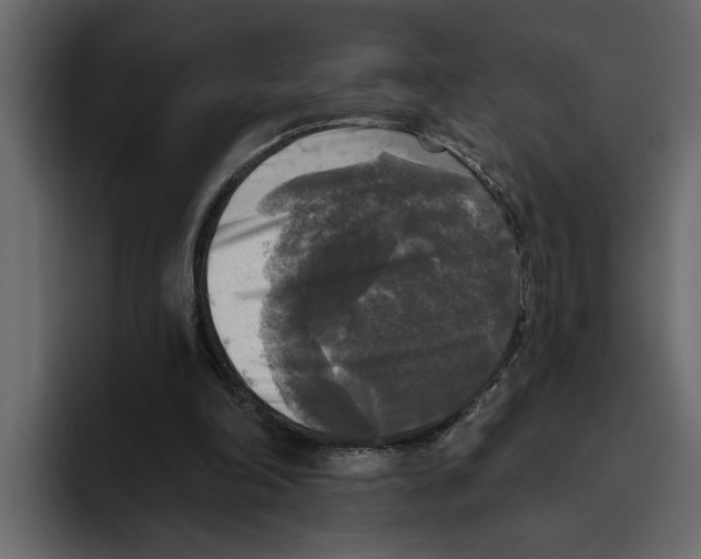 X0000094790198200712141644