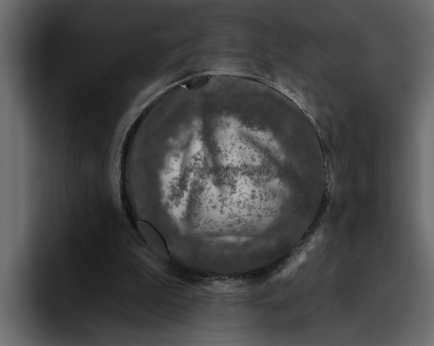 X0000094790199200712141644