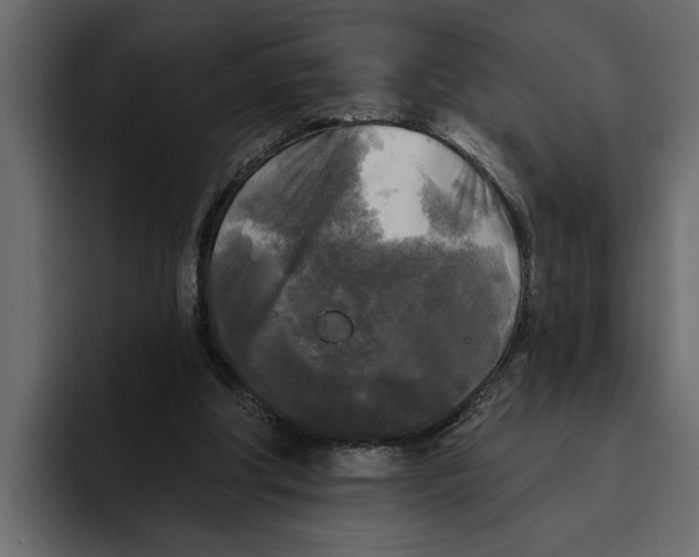 X0000094790202200712141644