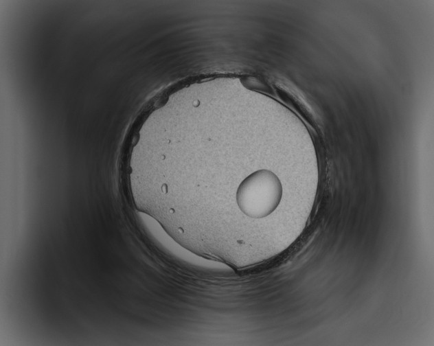 X0000094790203200712141644