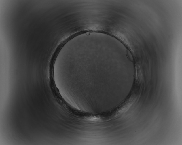 X0000094790204200712141644