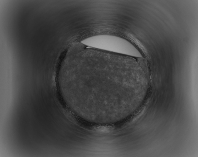 X0000094790209200712141644