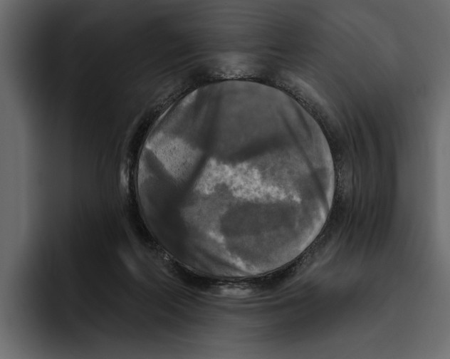 X0000094790214200712141644