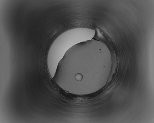 X0000094790215200712141644