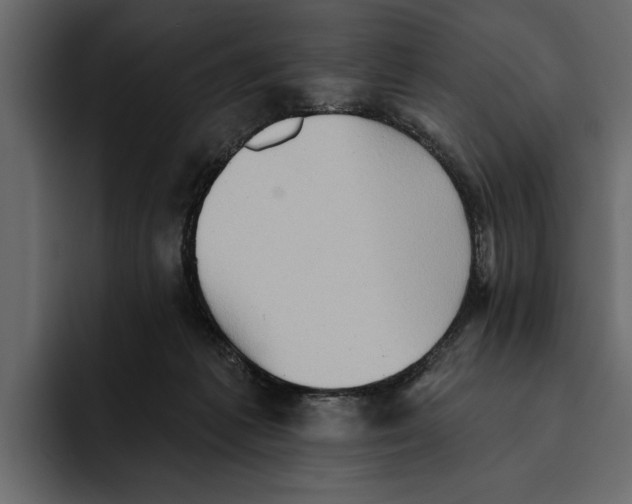 X0000094790221200712141644