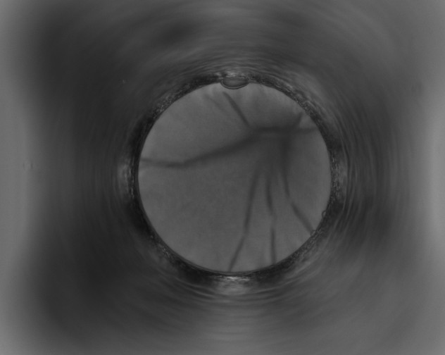 X0000094790222200712141644