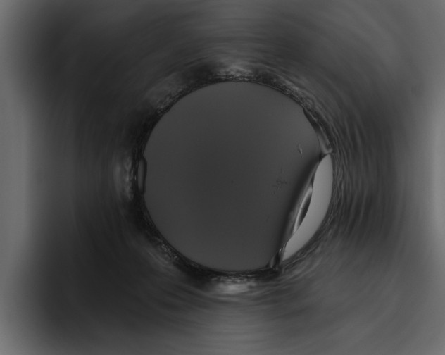 X0000094790223200712141644