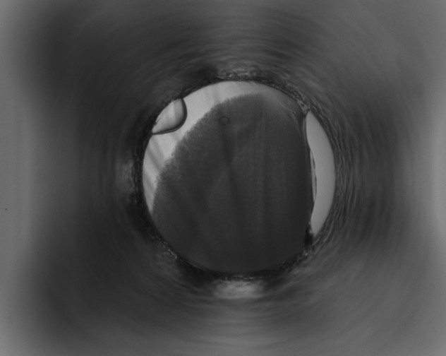 X0000094790224200712141644