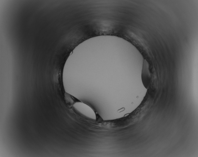 X0000094790225200712141644