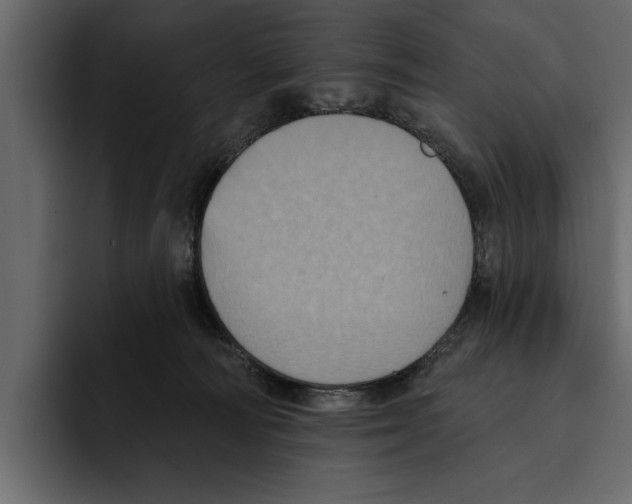 X0000094790226200712141644