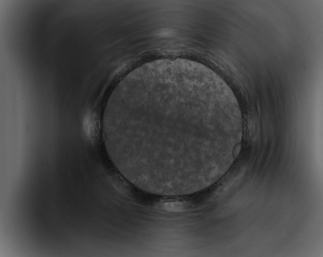 X0000094790228200712141644