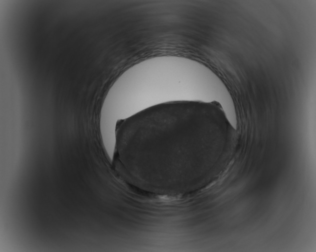 X0000094790232200712141644