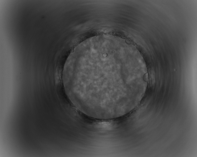 X0000094790236200712141644