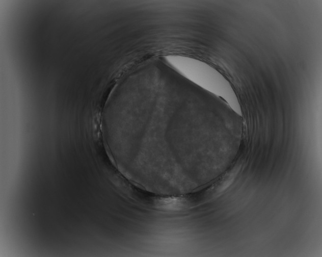 X0000094790237200712141644