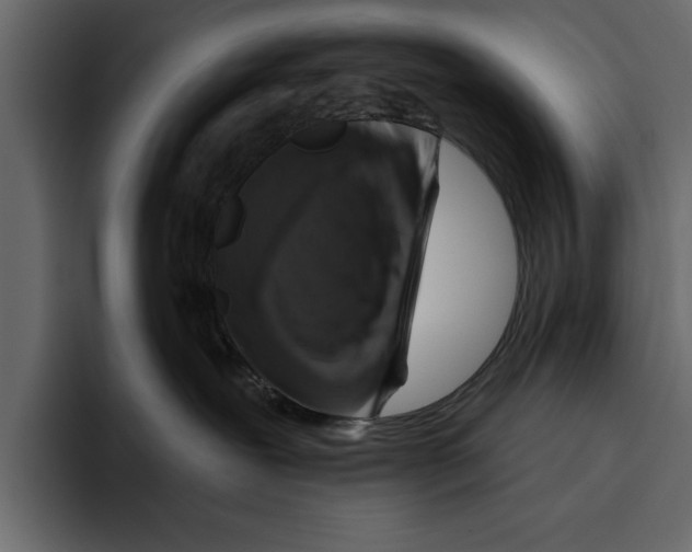 X0000094790239200712141644