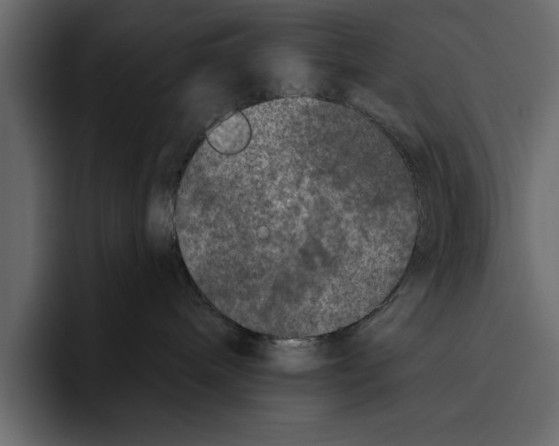 X0000094790240200712141644