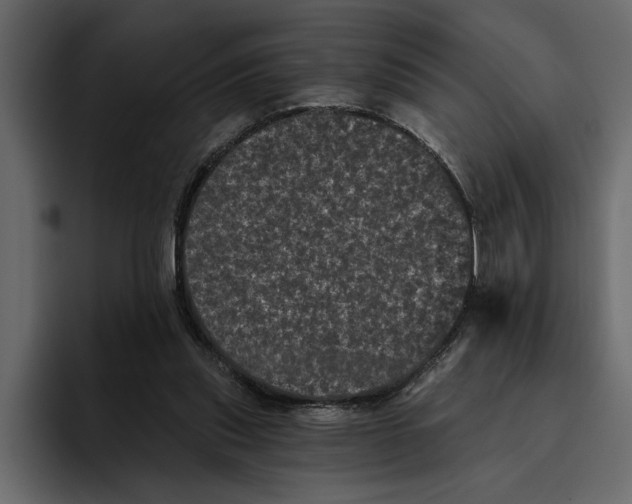 X0000094790253200712141643